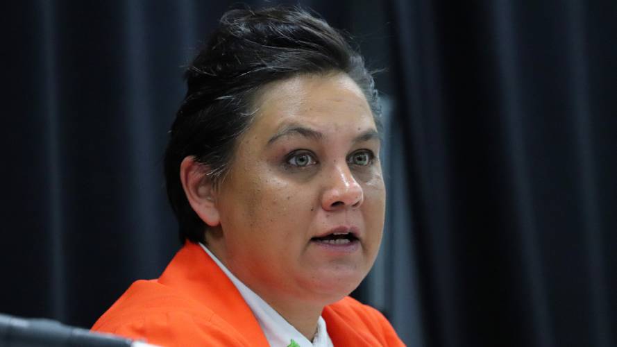 Tanya Neslusan, the executive director of the LGBTQ advocacy group MassEquality, speaks as part of a panel on LGBTQ rights on Tuesday at Western New England University in Springfield.