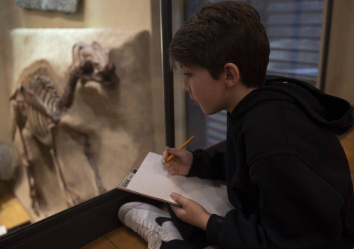 Nico Barszcz, a fifth grade student at Hatfield Elementary School, works on his sketch of a dinosaur.