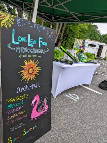 Love Leaf Farm's table at the Easthampton Farmers Market in summer 2023.