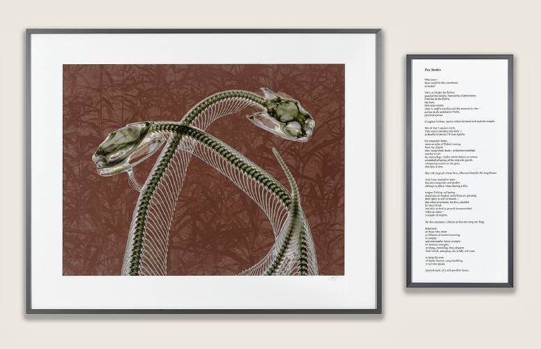 An photo of snake skeletons, accompanied by the poem “Two Snakes”